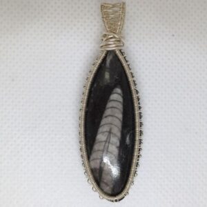 Orthocaras pendant sterling silver wirework