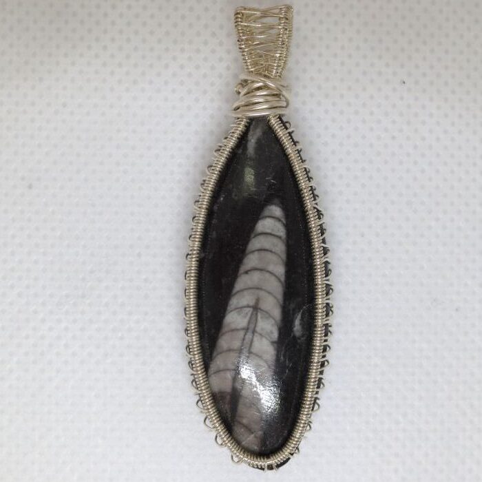 Orthocaras pendant sterling silver wirework